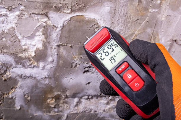 Best Crawl Space Mold Removal  in Easley, SC