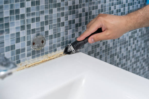 Best Mold Removal Near Me  in Easley, SC